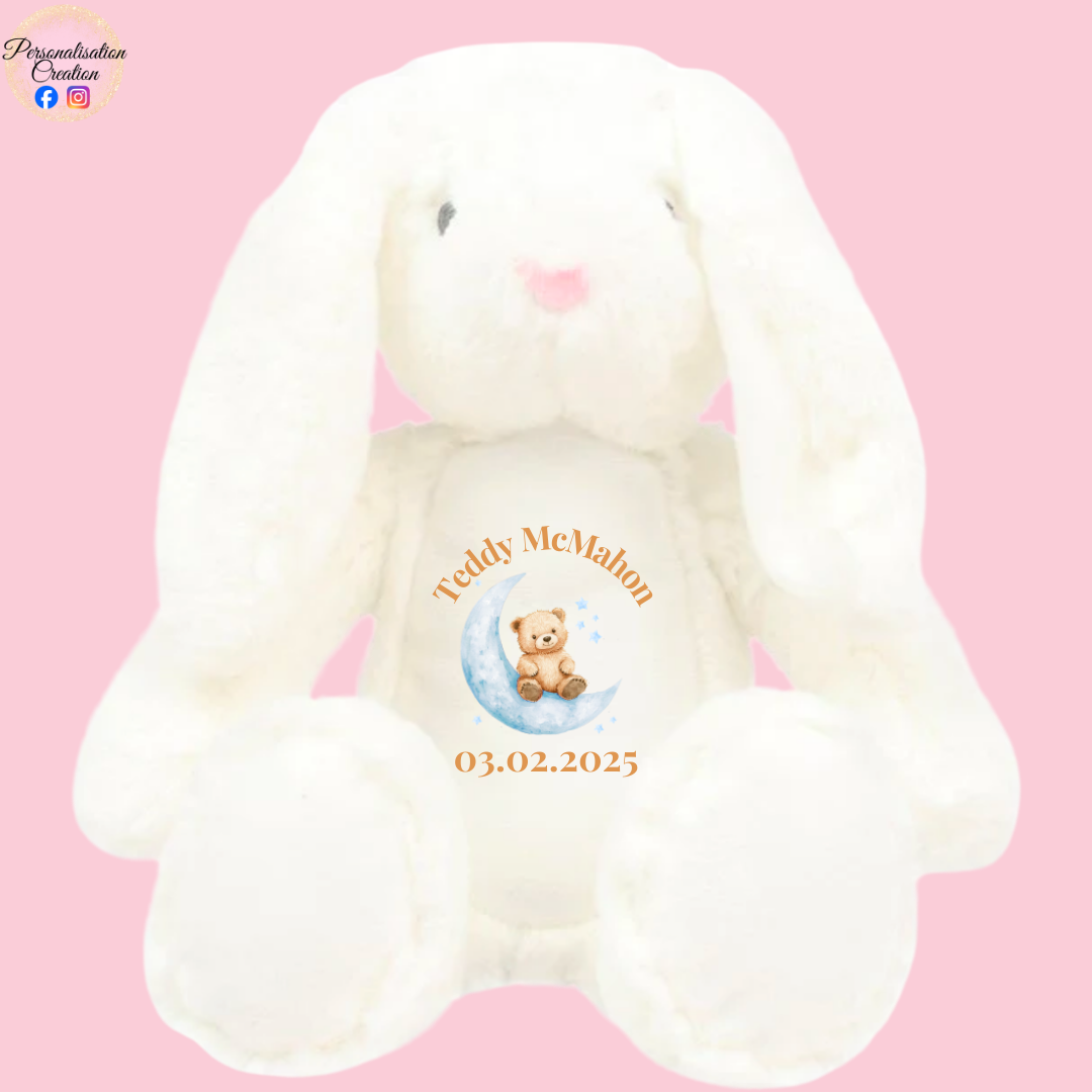 Bear on the moon bunny