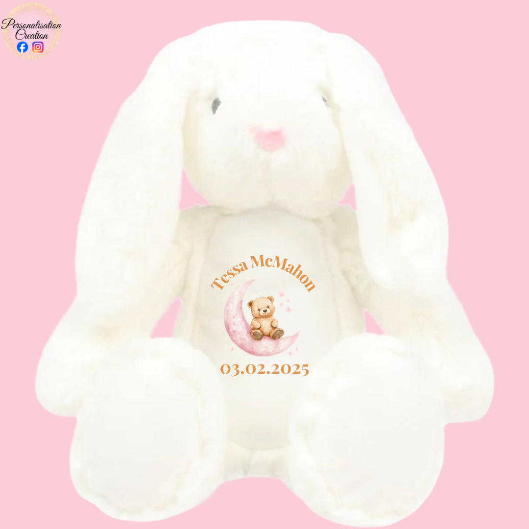 Bear on the moon bunny